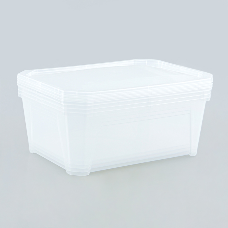 4 boîtes de rangement transparentes 'Fly Box'