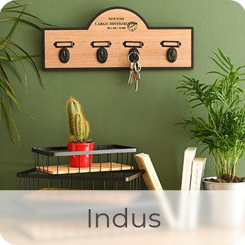 tendance indus