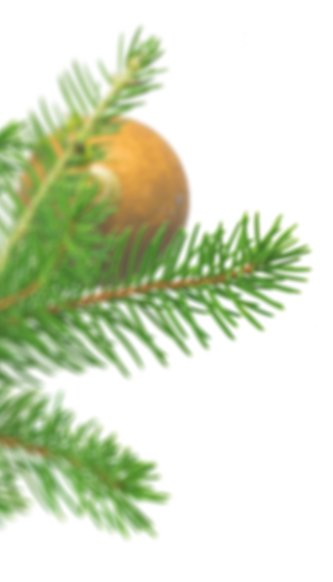 branche de sapin