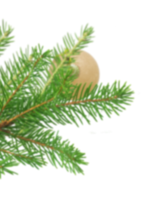 branche de sapin