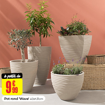 Pot Wave