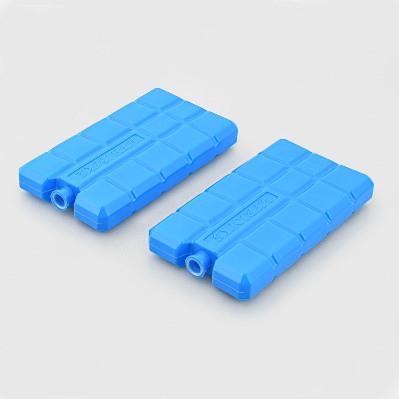 Lot de 2 blocs accumulateur de froid 170ml