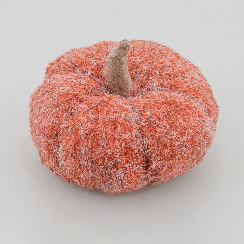 Citrouille décorative 'Coeur d'Automne' 