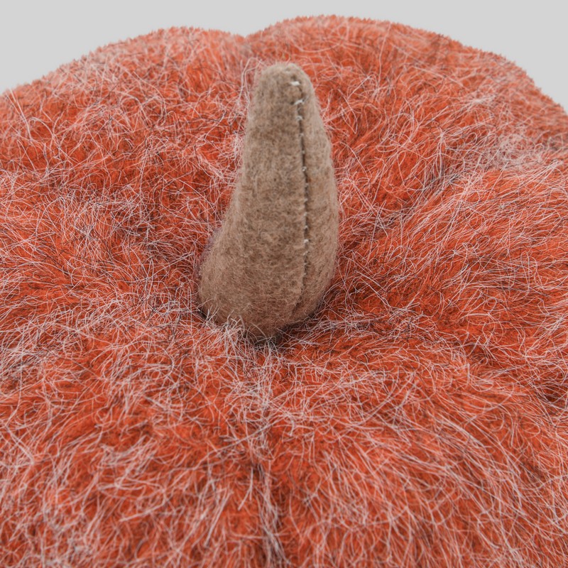 Citrouille décorative 'Coeur d'Automne' 
