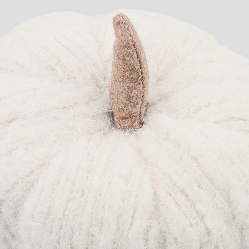 Citrouille décorative 'Coeur d'Automne' 