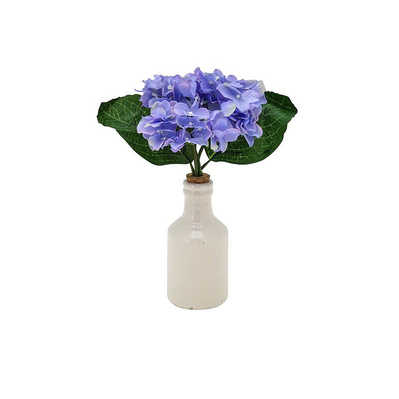 Hortensia avec vase craquelé