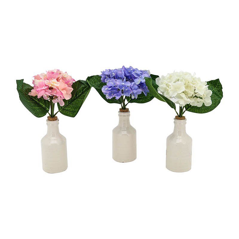 Hortensia avec vase craquelé