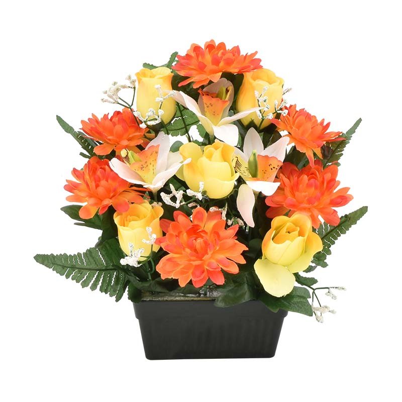 Mini jardinière Chrysanthème, roses et cymbidiums