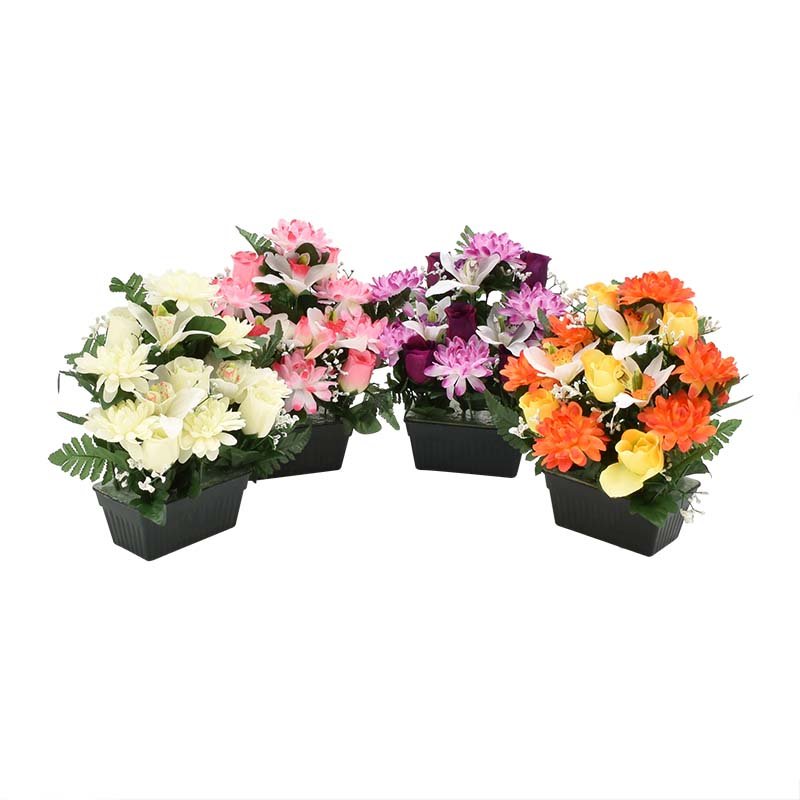 Mini jardinière Chrysanthème, roses et cymbidiums