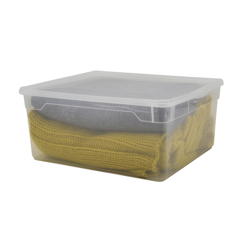 Boite de rangement 'X-Box' transparente 2ass 15l 38.4x28.3x19.9cm -  L'Incroyable