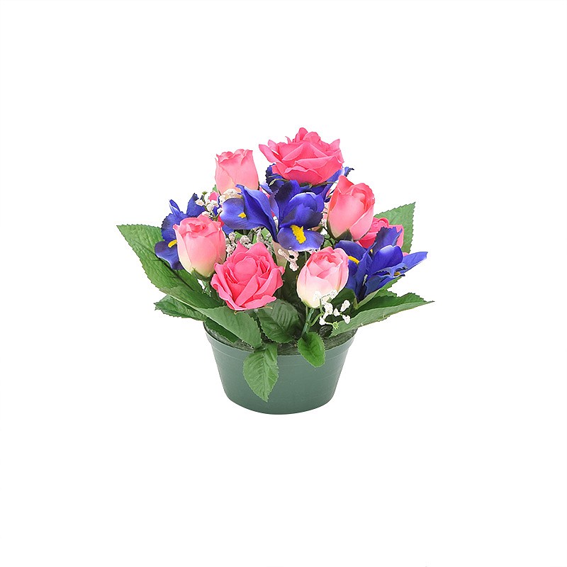 Mini potée iris, roses et gypso