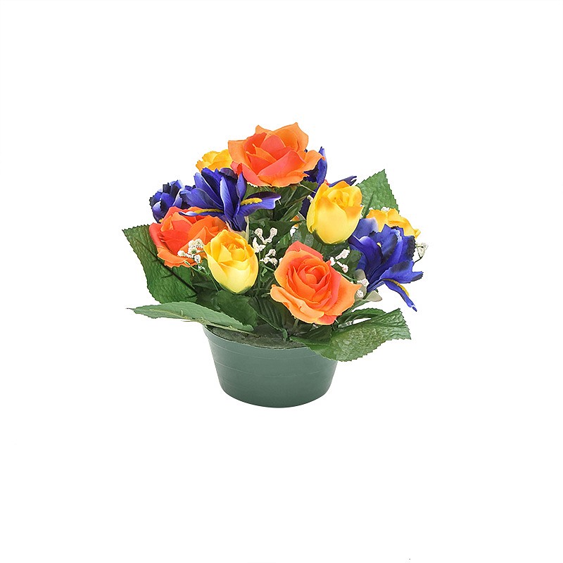 Mini potée iris, roses et gypso