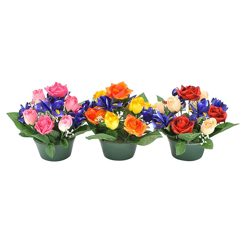 Mini potée iris, roses et gypso