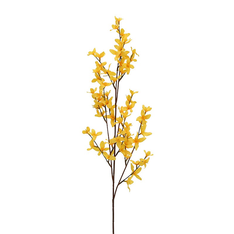 Forsythia artficielle