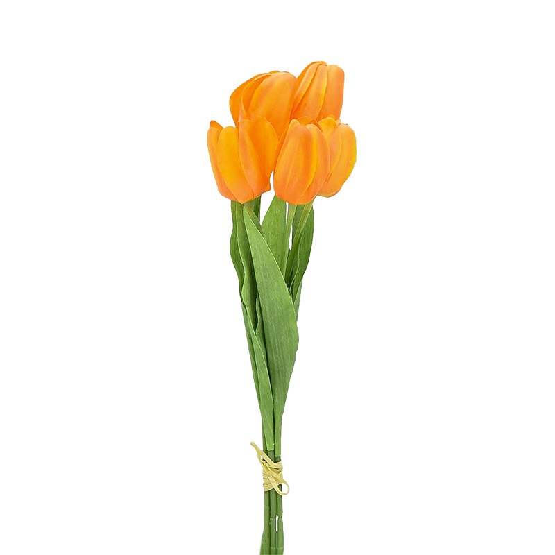 Bouquet de 5 tulipes