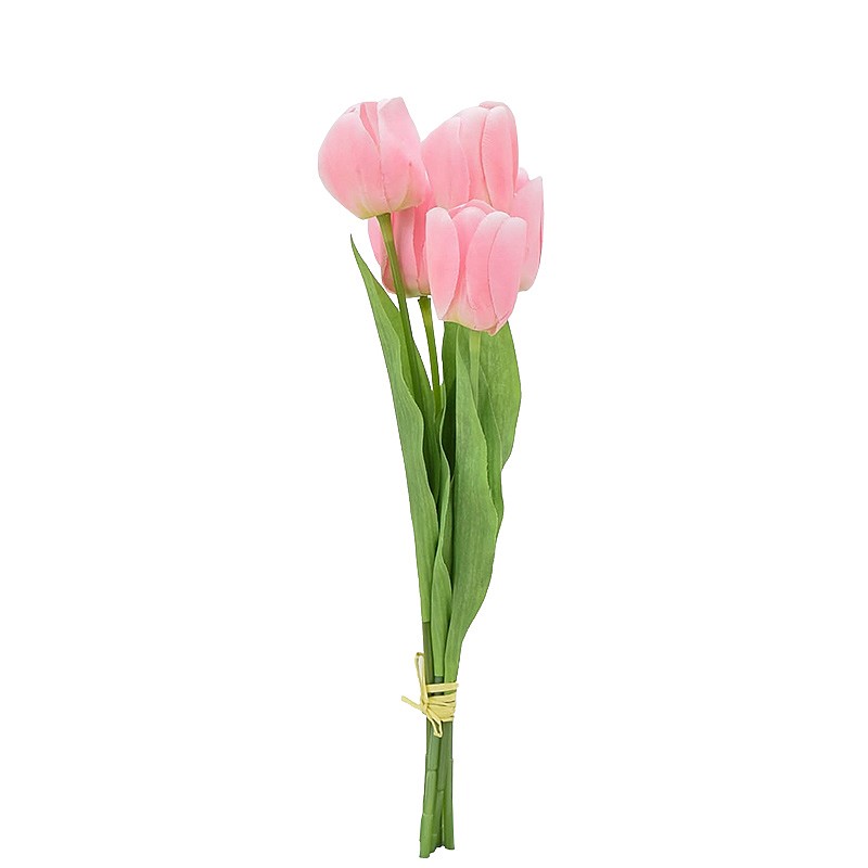 Bouquet de 5 tulipes