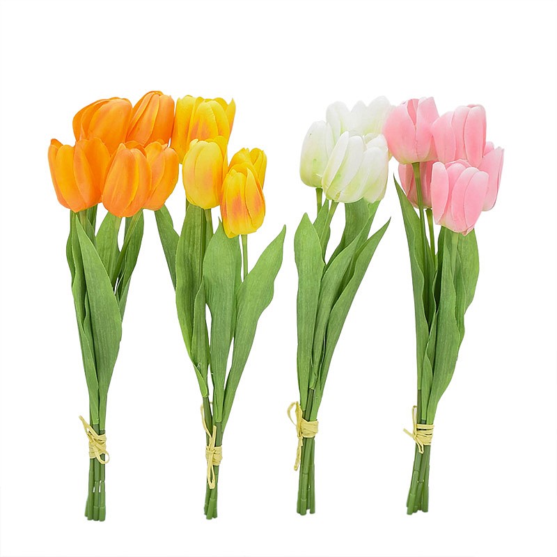 Bouquet de 5 tulipes