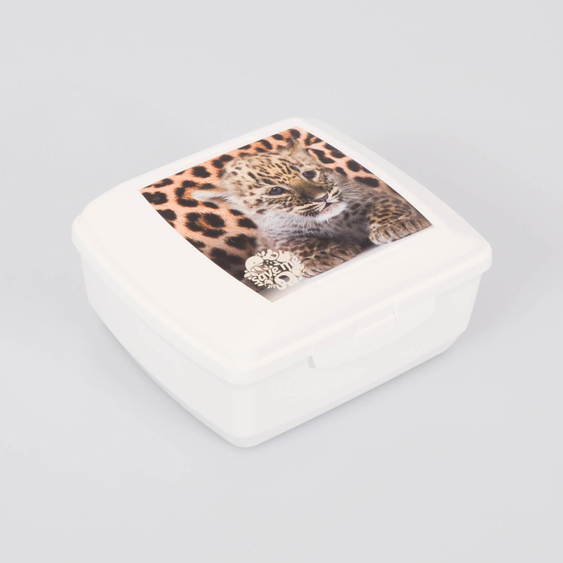 Lunch box