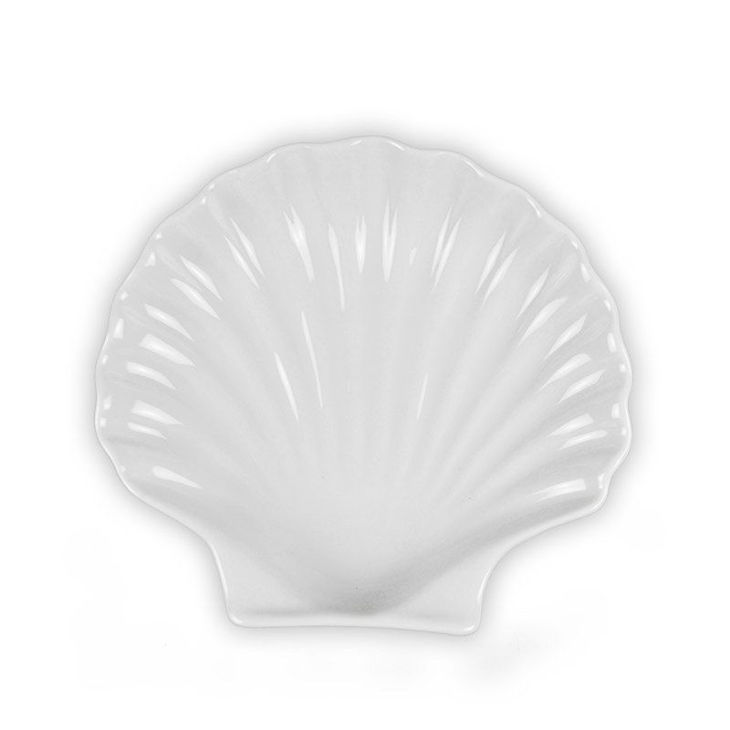 Coquille St Jacques 'White'