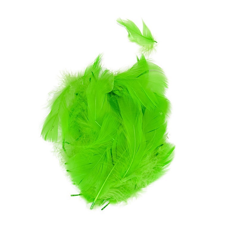 Sachet de plumes vertes