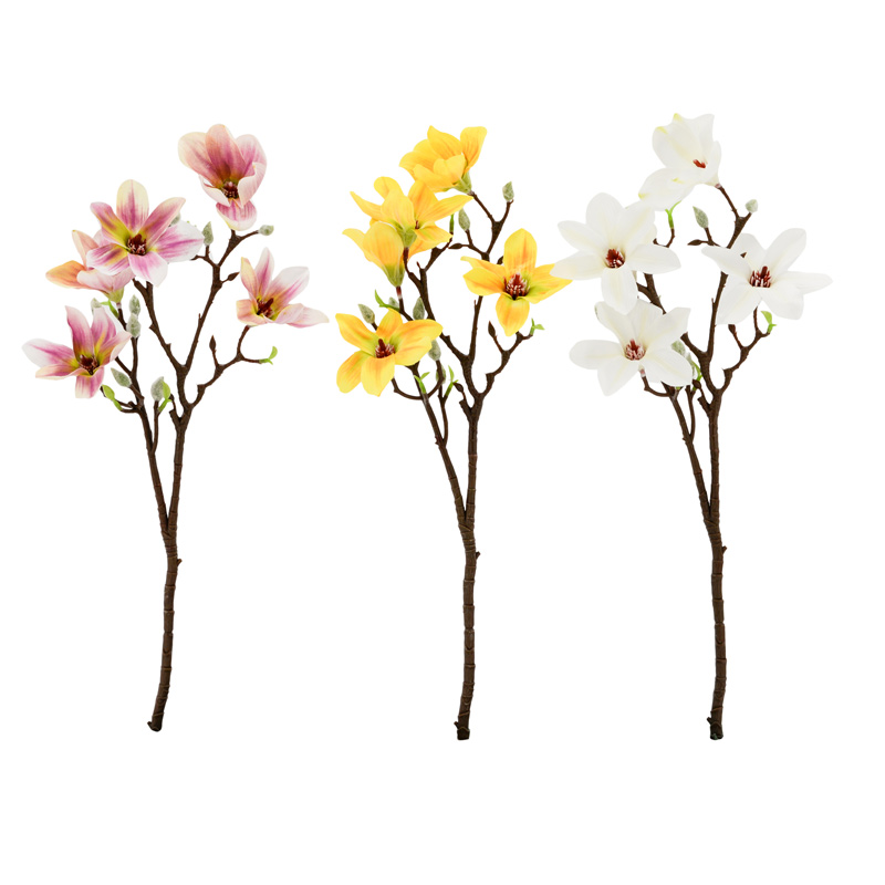 Tige de mini magnolia