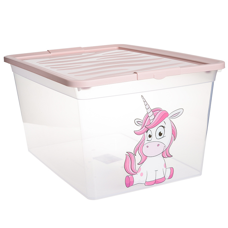 Boîte transparente 'Z-Box' 30L