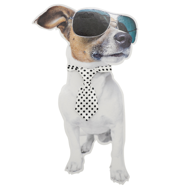Cravate pour chien