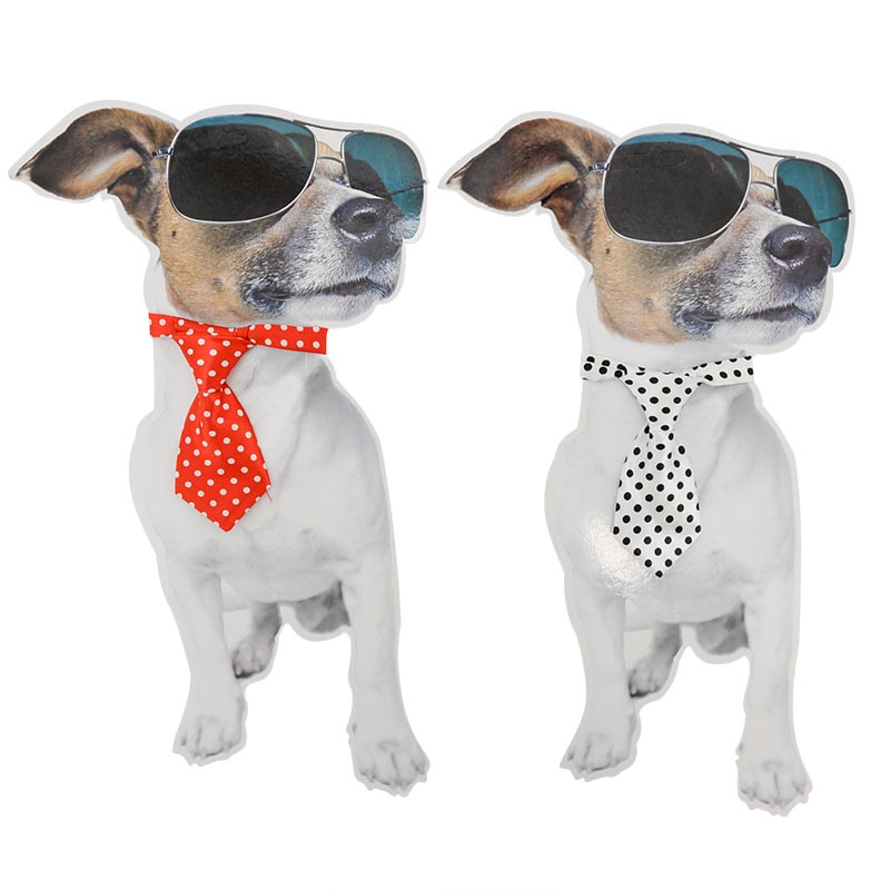 Cravate pour chien