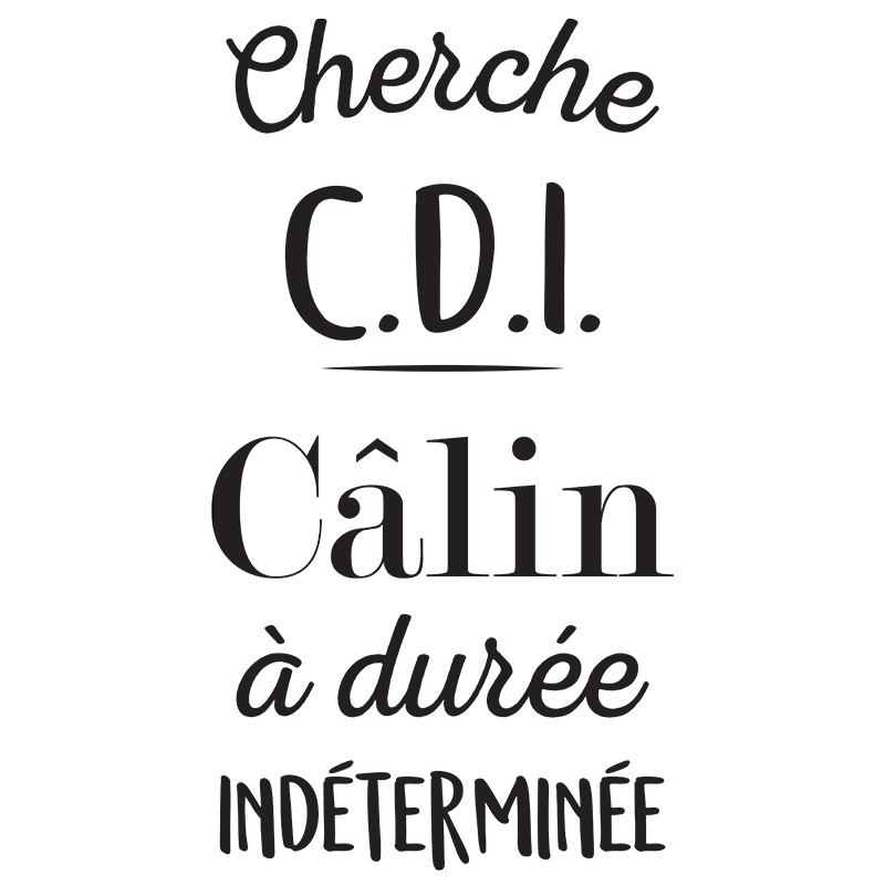 Stickers 'Cherche CDI'