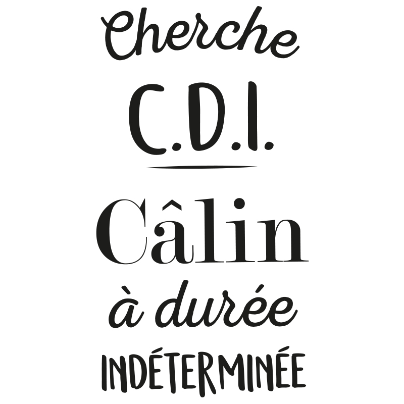 Stickers 'Cherche CDI'