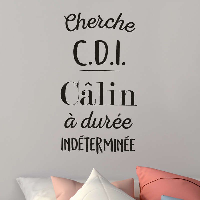 Stickers 'Cherche CDI'