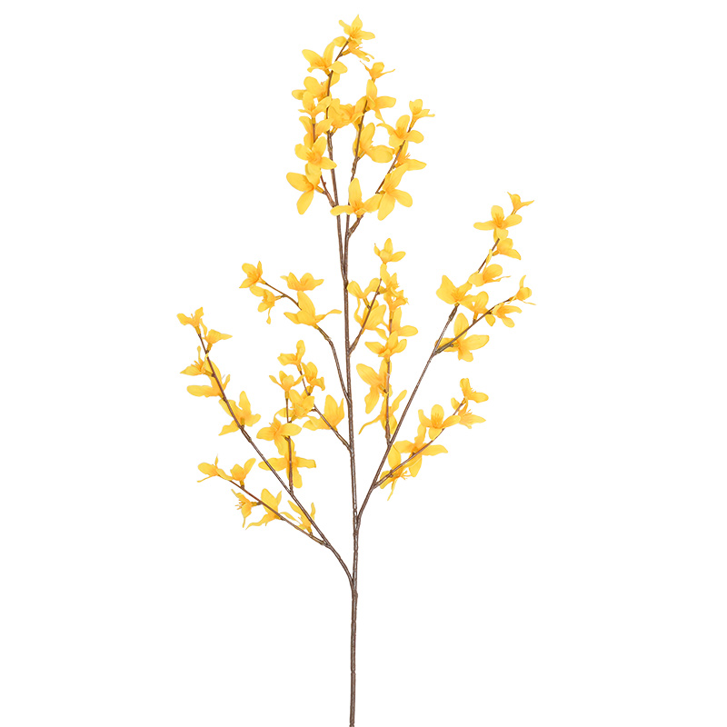 Forsythia artificelle