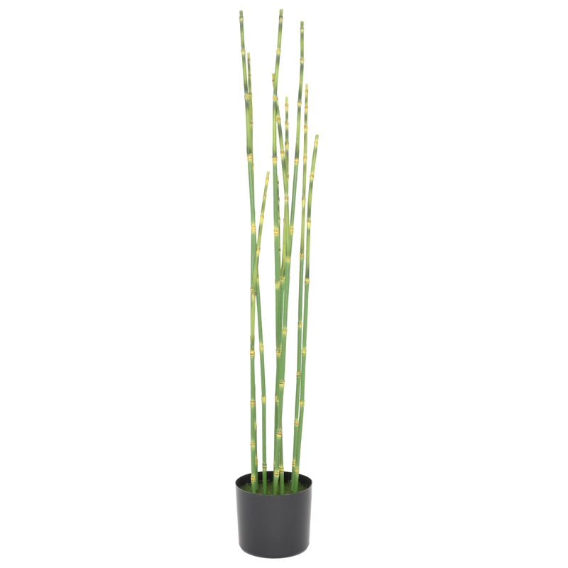 Branches de bambou en pot