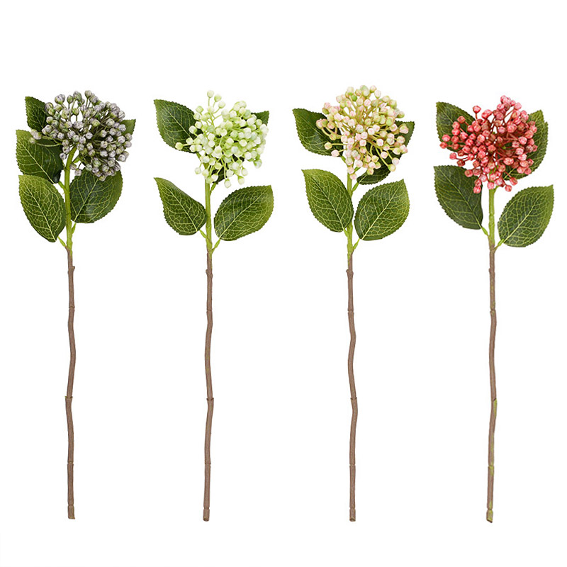 Bourgeons d'hortensia