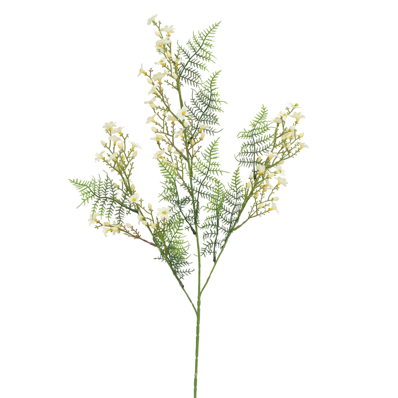 Marguerites avec aspargus