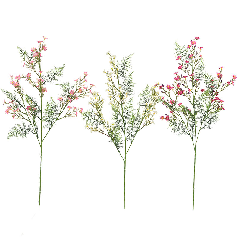 Marguerites avec aspargus