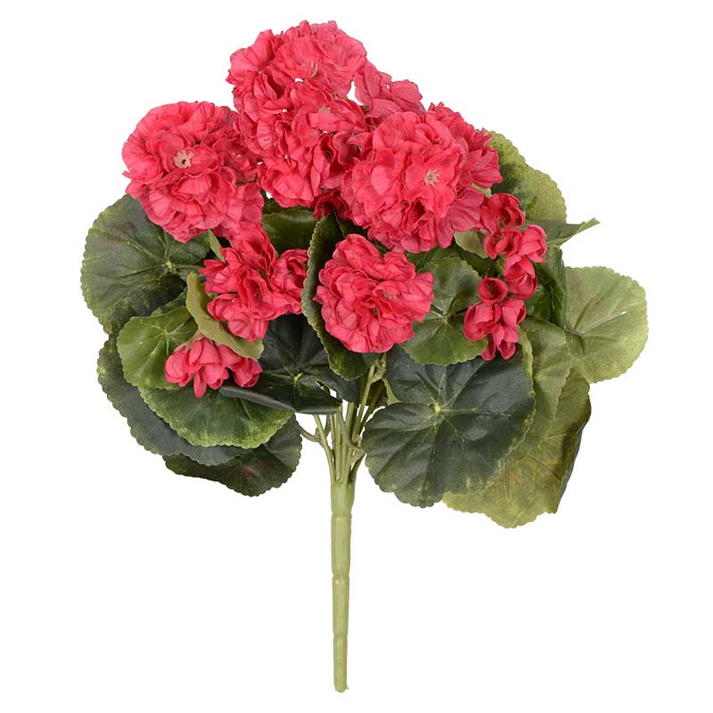 Bouquet de géraniums
