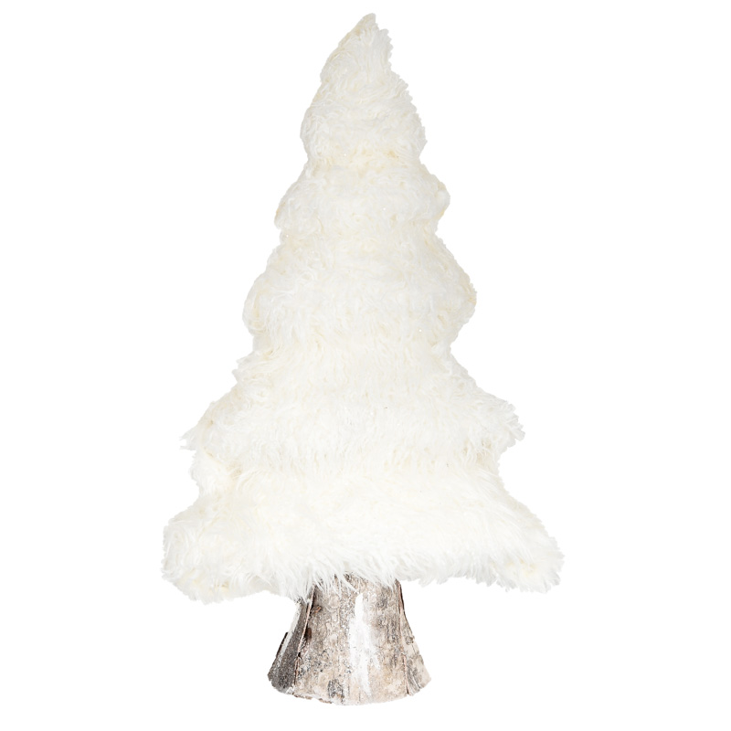 Sapin brillant 'Artic'