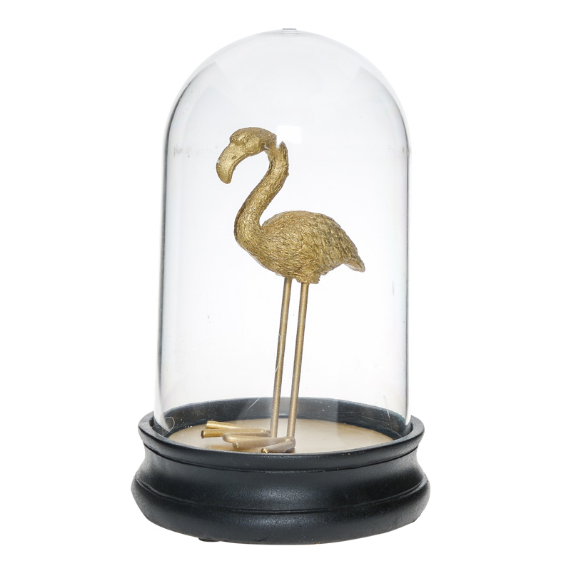 Flamant rose sous cloche 'TropiGold'