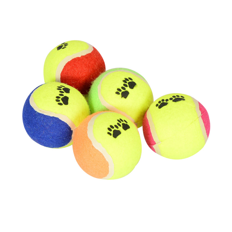 5 balles pour chien