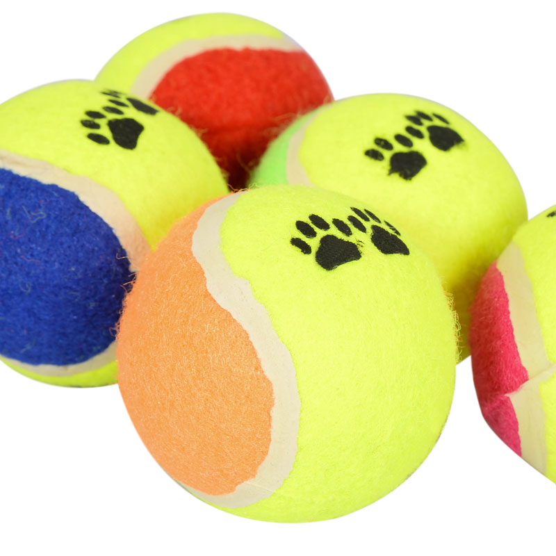 5 balles pour chien