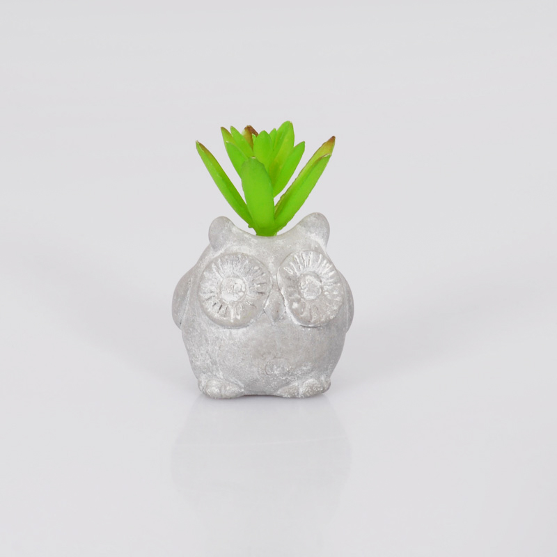 Succulente chouette décorative