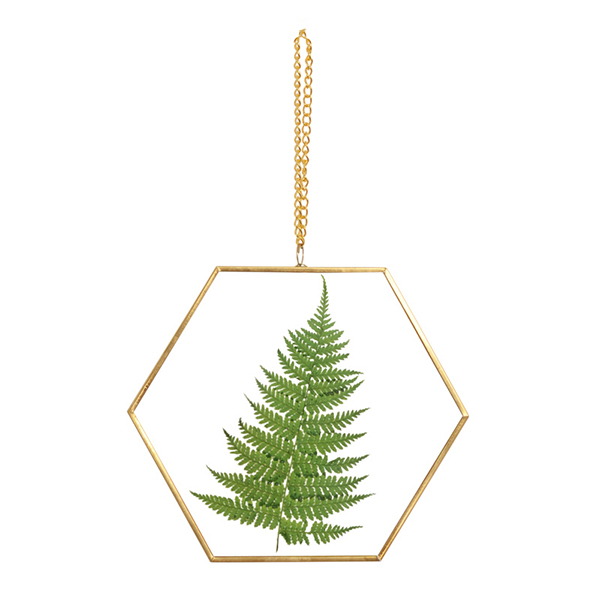 Cadre herbier hexagonal sous verre