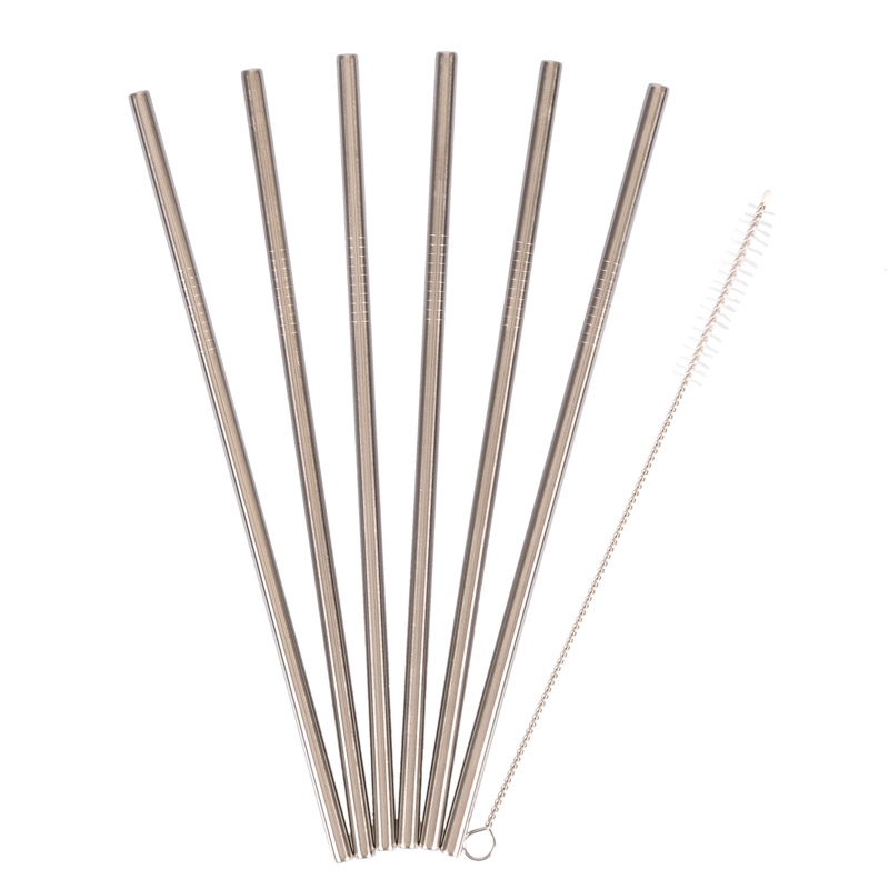 6 pailles inox avec nettoyeur