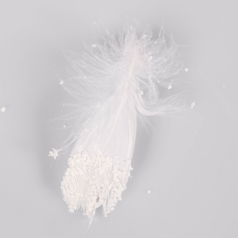 20 plumes blanches