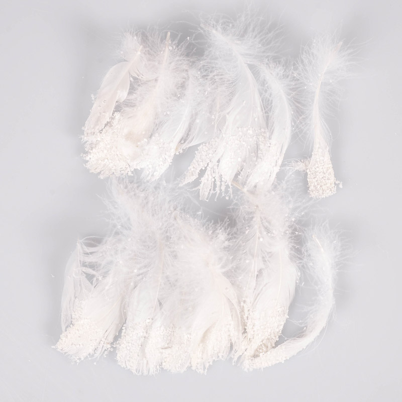 20 plumes blanches - L'Incroyable