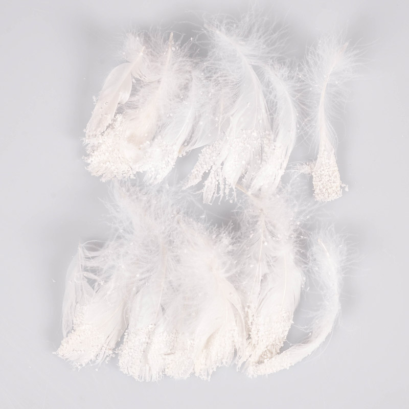 20 plumes blanches