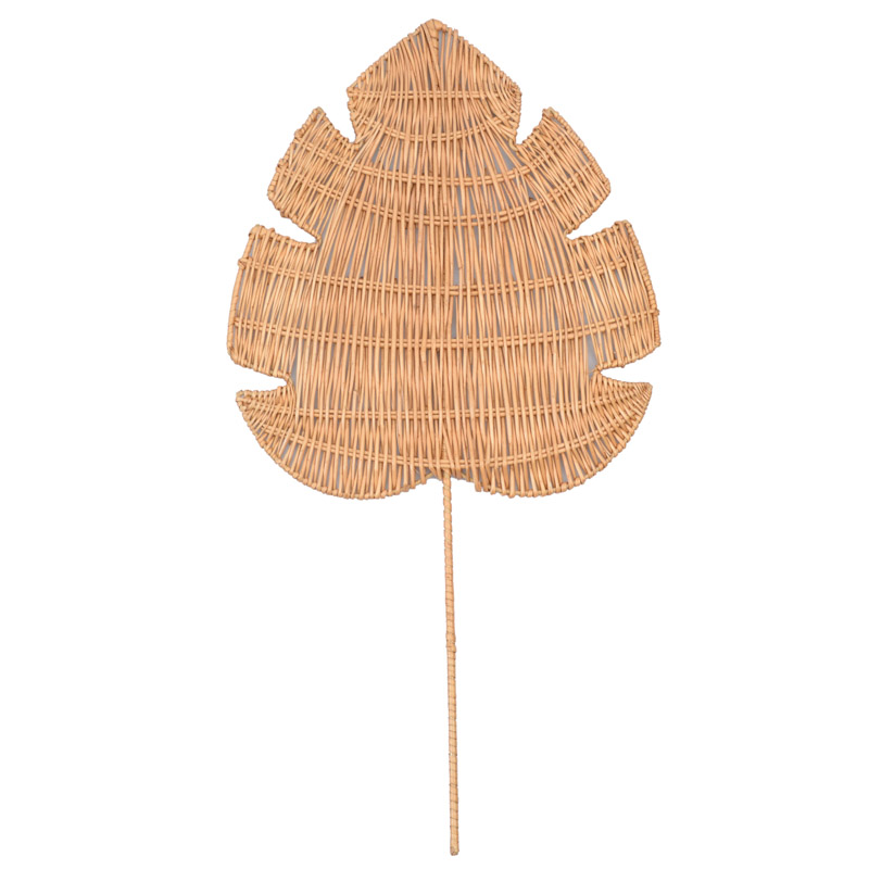 Feuille de monstera 'Xalapa'