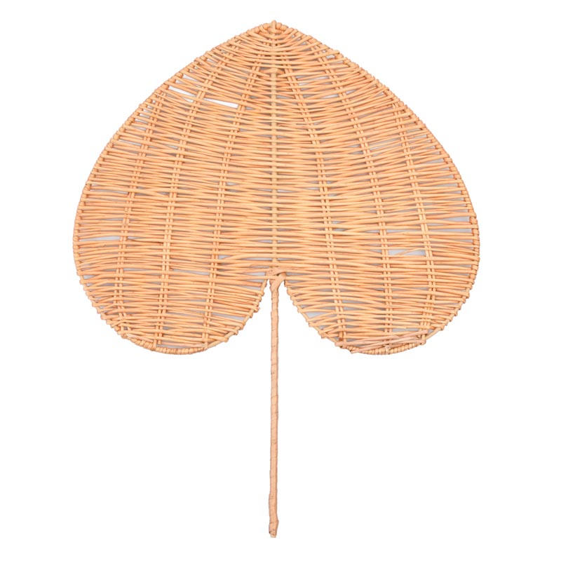 Feuille de palmier 'Xalapa'