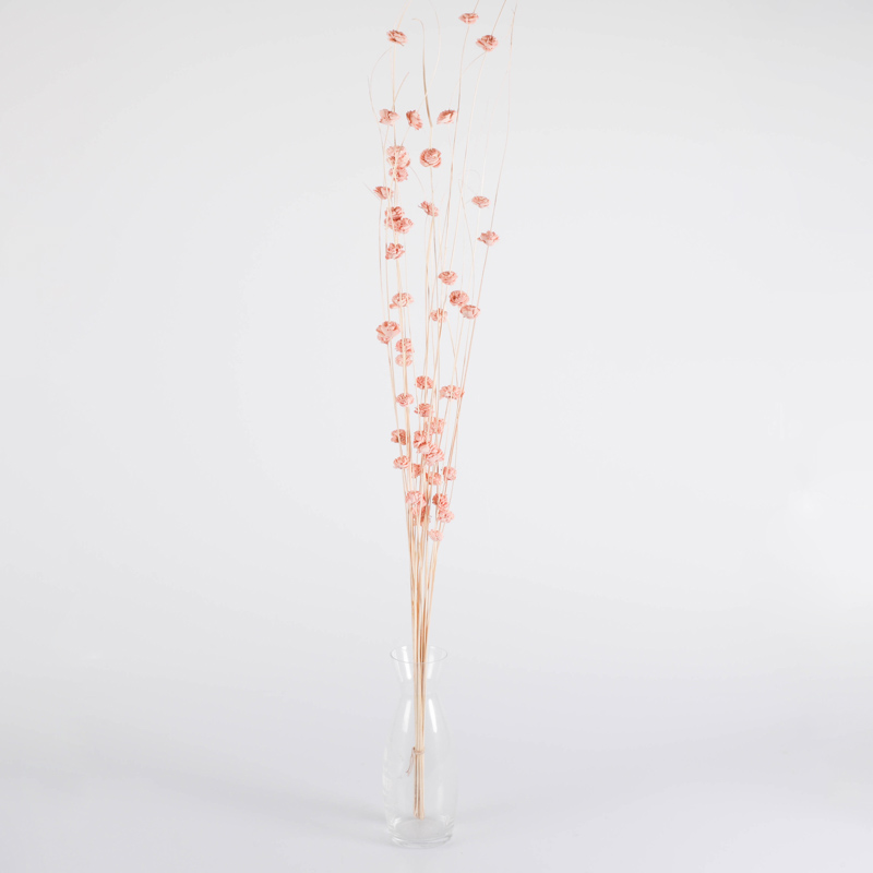 Branches de rosettes